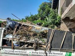 Best Carpet Removal and Disposal  in Naples, FL